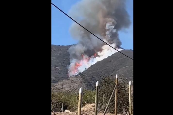 Incendio forestal afecta a sector Los Maquis en la comuna de Puchuncaví