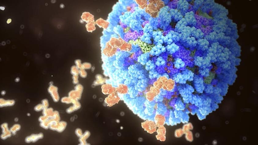 El mito de un sistema inmunitario "superreforzado" (y qué realmente recomiendan los expertos)