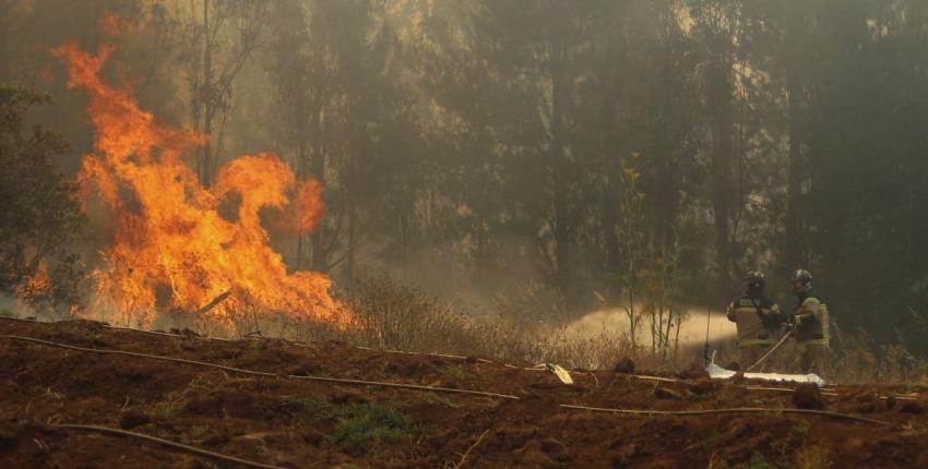 Decretan Alerta Roja en Collipulli por incendio forestal