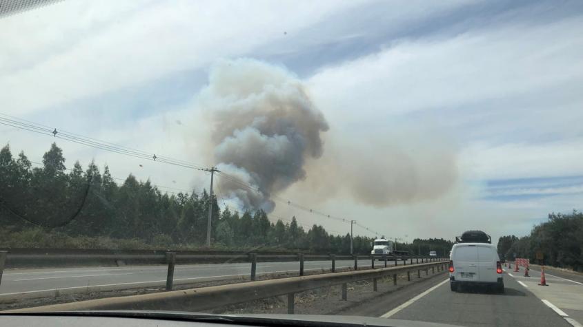 Incendio forestal en Collipulli obliga corte de tránsito en Ruta 5