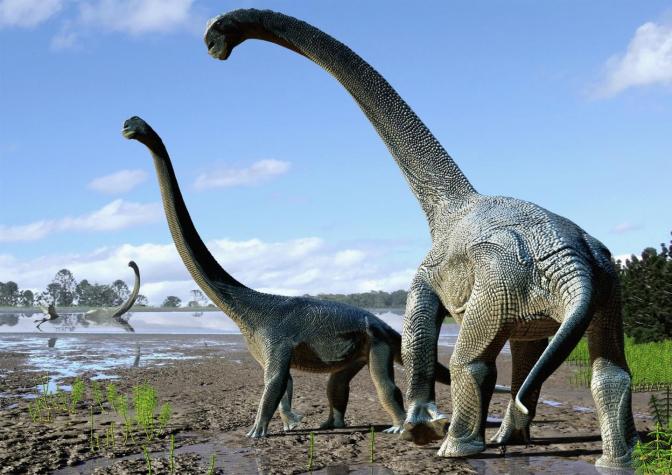 Descubren restos del primer dinosaurio con signos de haber sufrido una enfermedad respiratoria