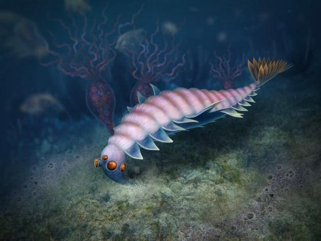 Descubren fósil de una extraña criatura marina: Tenía cinco ojos y la boca hacia atrás