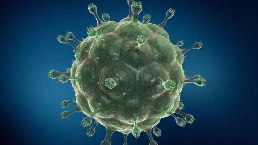 VIH: el caso de la primera mujer en el mundo que logró curarse del virus con un novedoso tratamiento