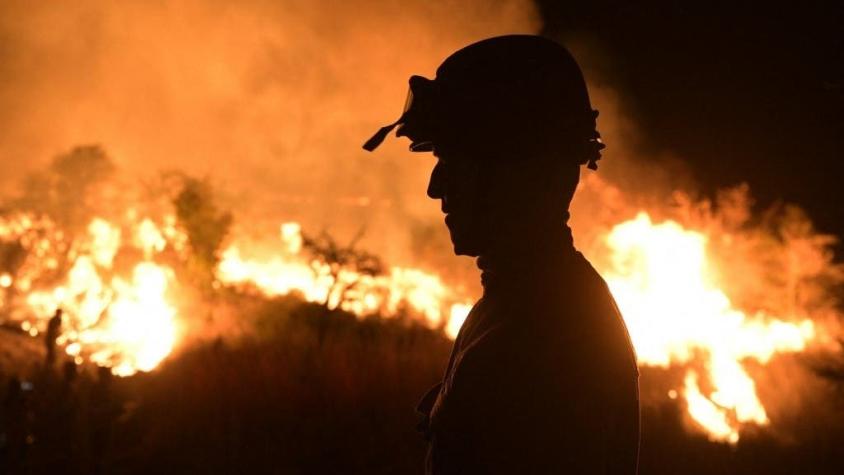Probabilidad de incendios forestales "excepcionales" aumentará de aquí a fines de siglo