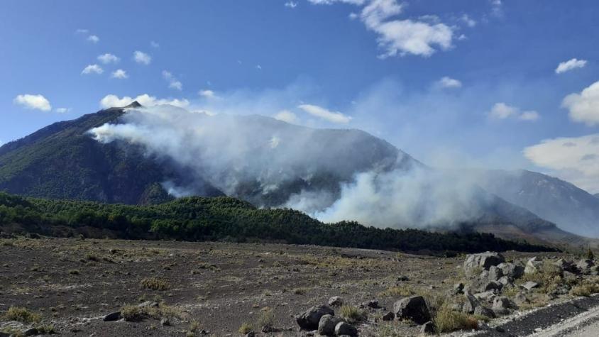 Más de 5 mil hectáreas afectadas por incendios forestales en el sur del país