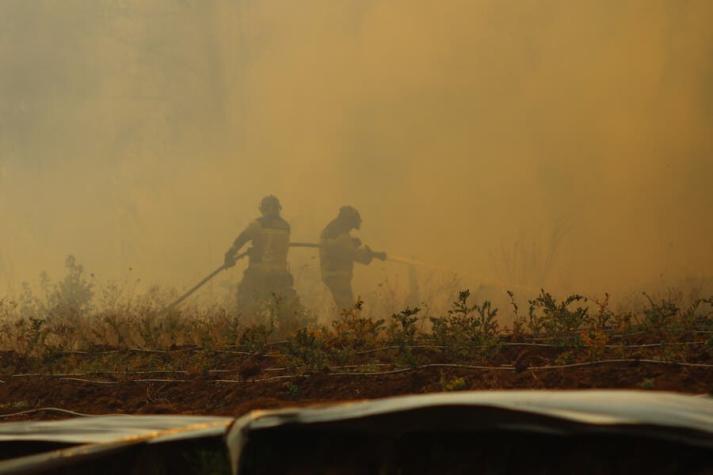 Alerta roja por incendio forestal en Pemuco y El Carmen, en el Ñuble