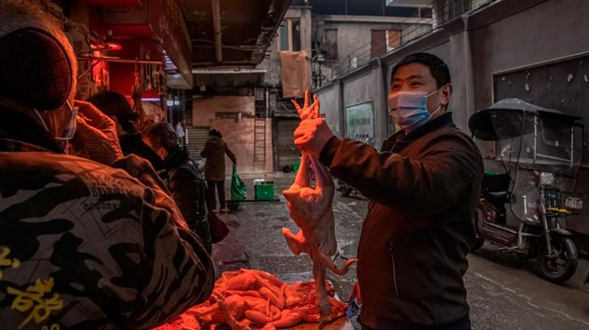 Encuentran decenas de virus de “alto riesgo” en animales salvajes que se consumen en China