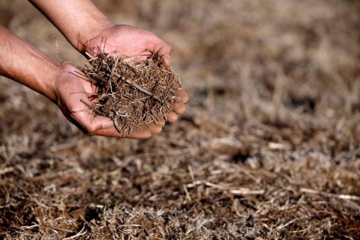 En Chile "hay agua subterránea, pero no conocemos muy bien la calidad y cantidad del recurso"