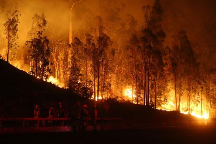 Valparaíso: Incendio en Loma Negra ha consumido casi 300 hectáreas