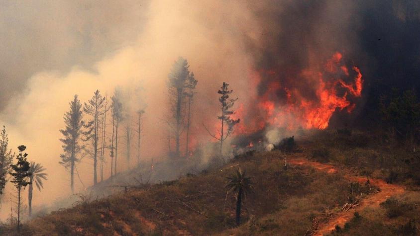 Anuncian amplios "cortes de agua solidarios" para combatir incendios forestales en Valparaíso