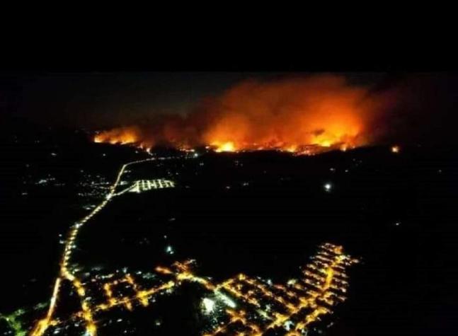 Decretan alerta roja en Coelemu por incendio forestal que ha consumido 500 hectáreas