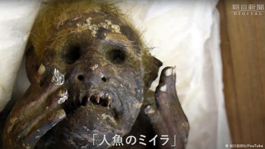 Científicos intentan desvelar el misterio de la momia de la "sirena" en Japón, mezcla de mono y pez