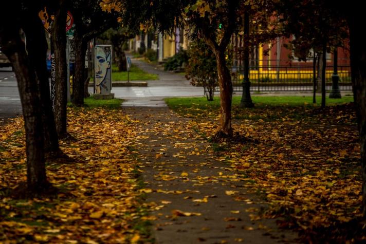 Últimos días de verano: ¿Cuándo llega el otoño a Chile este 2022?