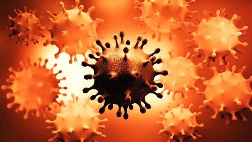 Los virus que pueden permanecer escondidos en el cuerpo y causar problemas décadas después