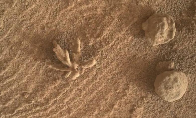 La curiosa roca con forma de flor encontraba por el Curiosity en Marte