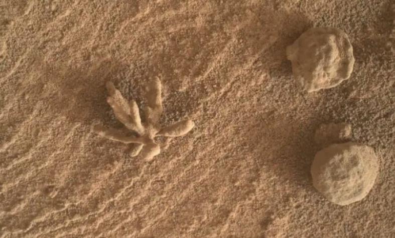 La curiosa roca con forma de flor encontraba por el Curiosity en Marte La curiosa roca con forma de flor encontraba por el Curiosity en Marte