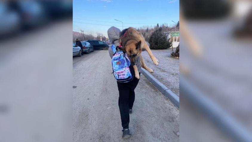Mujer recorrió kilómetros cargando a su perra de 12 años huyendo de la guerra en Ucrania