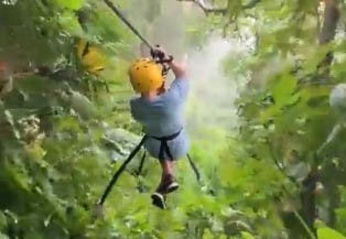[VIDEO] Niño se lanza en tirolesa y choca con un perezoso en Costa Rica