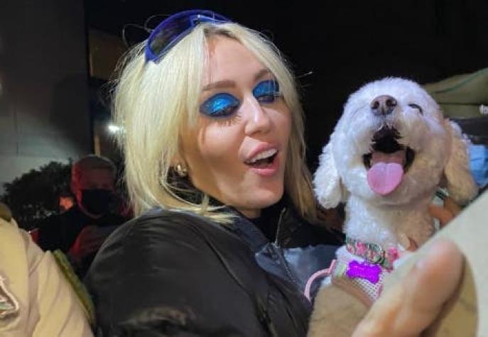 La imagen de Miley Cyrus tomando en brazos a una perrita chilena que se hizo viral