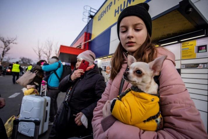 Diez millones de personas han huido de sus casas en Ucrania tras inicio de la guerra