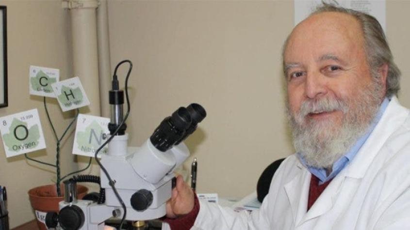 Canals, experto en cifras Covid: “La pandemia ha entrado en una etapa aparentemente más predecible" Canals, experto en cifras Covid: “La pandemia ha entrado en una etapa aparentemente más predecible"