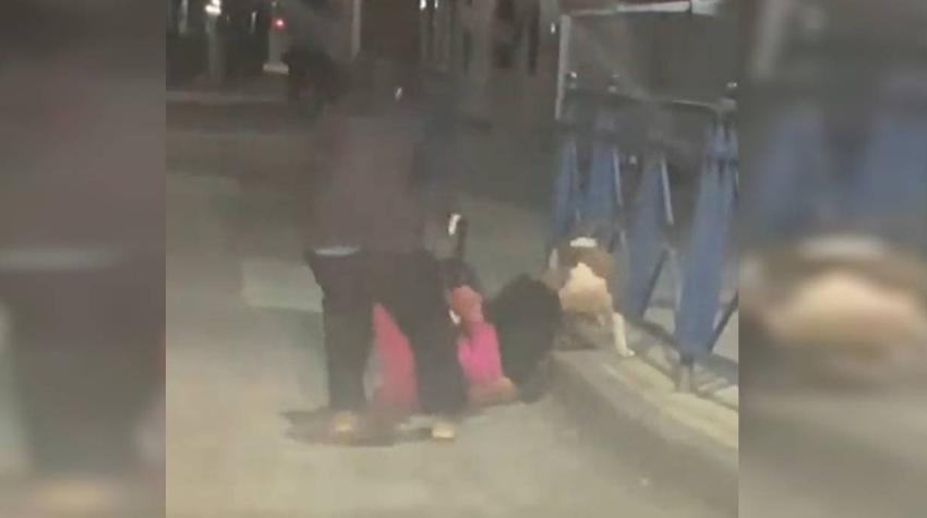 Mujer fue atacada por perros pitbull en Talcahuano: Municipalidad anunció querella