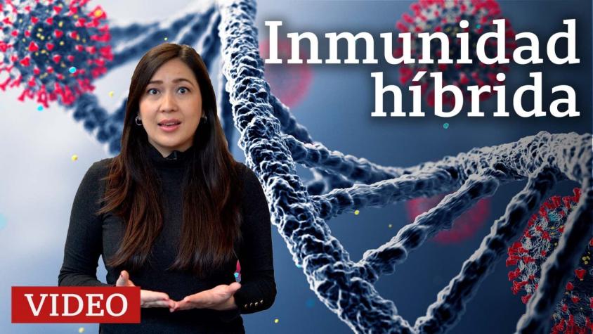 Covid: qué es la inmunidad híbrida y cómo te protege contra las infecciones como la del coronavirus