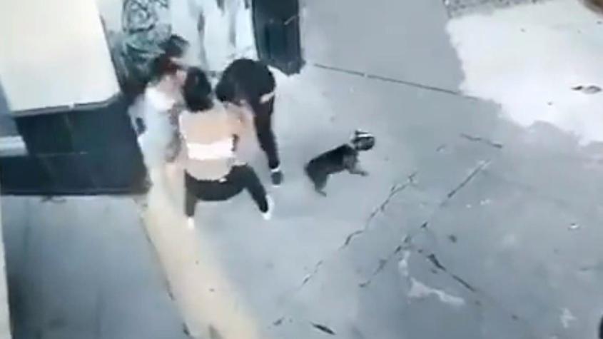 A golpes y mordiscos: Ladronas atacaron a mujer para robarle un celular