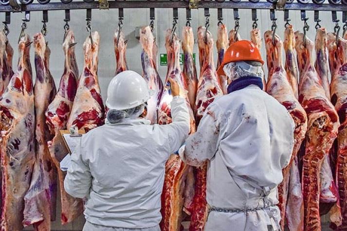 Distribuidora de carne a la quiebra: apuntó a crisis social, alza en precios y la pandemia