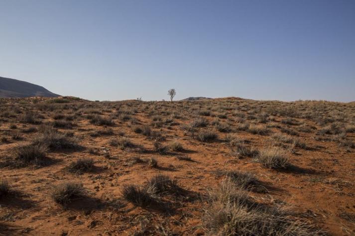 Twitter veta los anuncios que desafían la ciencia del cambio climático