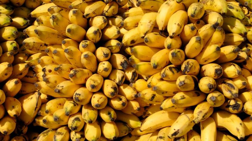 Ecuador incauta tres toneladas de cocaína escondidas en cajas de plátanos