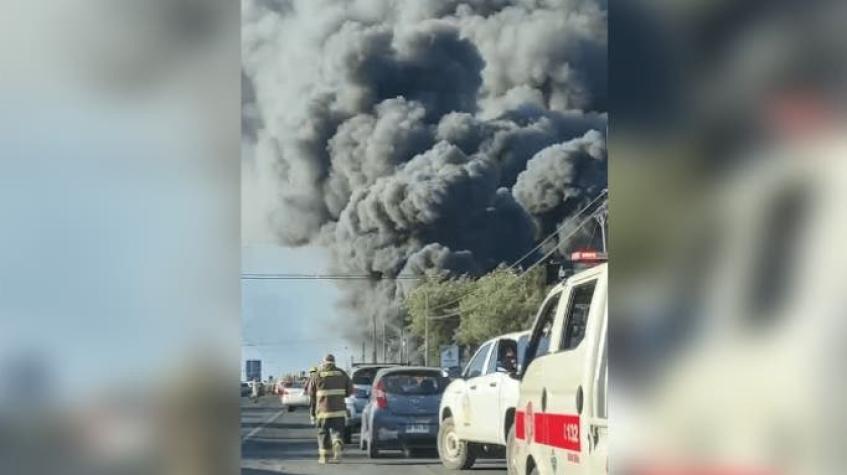 [VIDEO] Incendio afecta planta de reciclaje en San Nicolás, cerca de Chillán