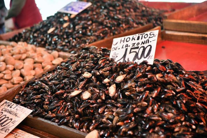 Qué es la marea roja y los síntomas de comer mariscos infectados