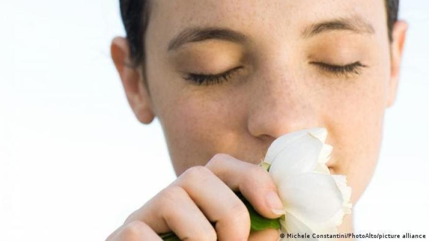 Científicos acaban de identificar el olor más agradable para todos, según un estudio