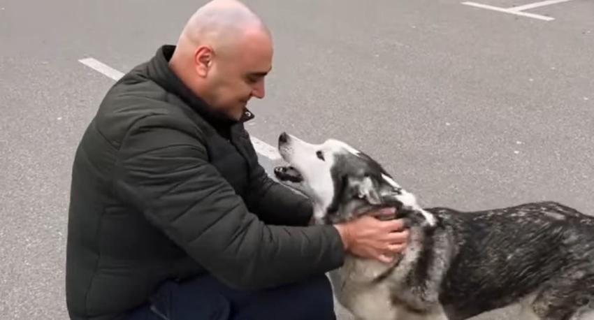 Perro aúlla de alegría al reencontrarse con su dueño: se habían separado por la guerra en Ucrania