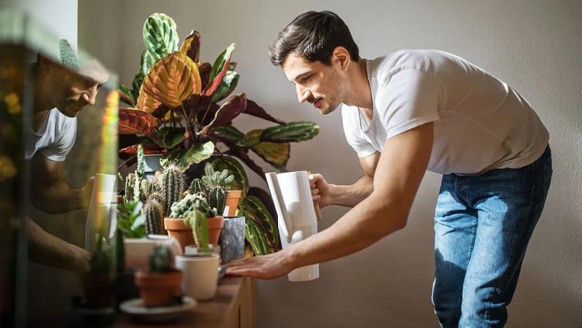 Por qué pequeñas tareas como regar las plantas o doblar la ropa son tan terapéuticas