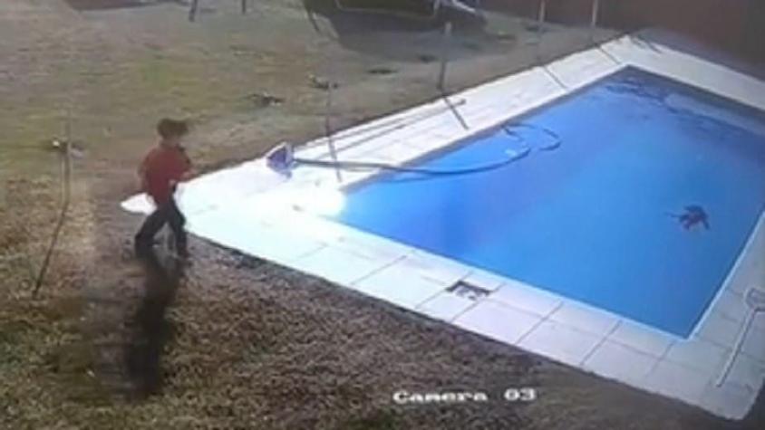 [VIDEO] Niño de 5 años salvó a su perro de morir ahogado: Se lanzó a la piscina para rescatarlo