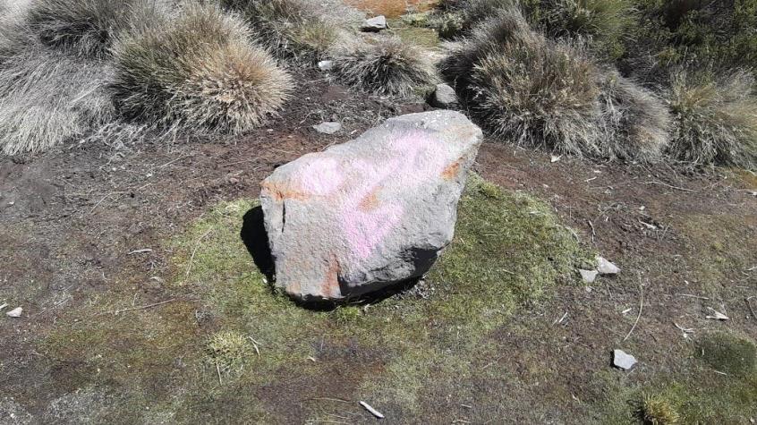 Conaf anuncia acciones legales tras rayado en Parque Nacional Lauca