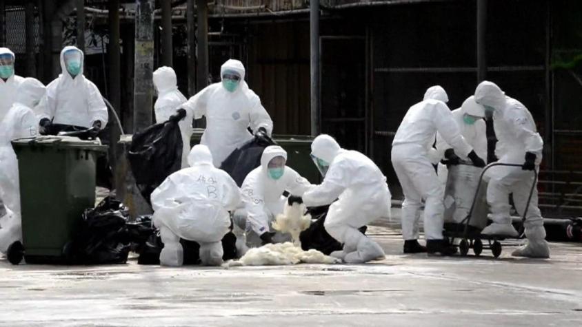 [VIDEO] China detecta primer caso de gripe aviar H3N8 en humanos