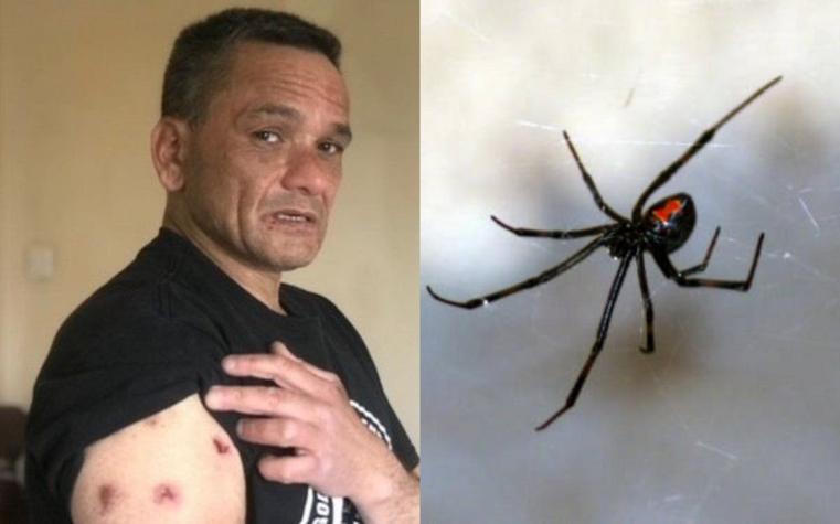 "Yo era un banquete para ellas": El infierno de un hombre que convive con plaga de arañas en su casa