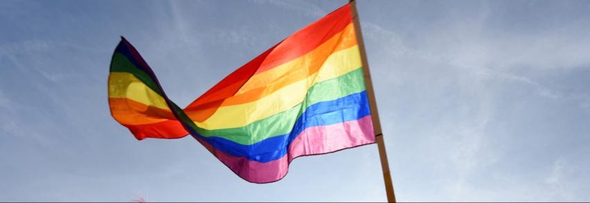Casi la mitad de jóvenes LGBTQ de EEUU tuvo ideas suicidas en 2021, dice sondeo Casi la mitad de jóvenes LGBTQ de EEUU tuvo ideas suicidas en 2021, dice sondeo