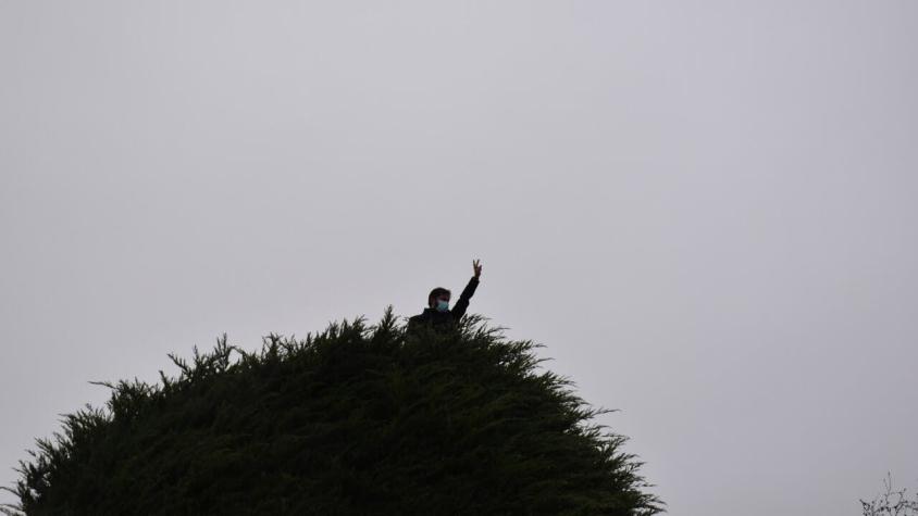 "Fuera Boric": Cuelgan lienzo contra el mandatario en árbol en el que hizo campaña en Punta Arenas