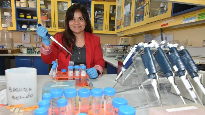 Investigación chilena estudia moscas autistas para entender los genes de riesgo del TEA