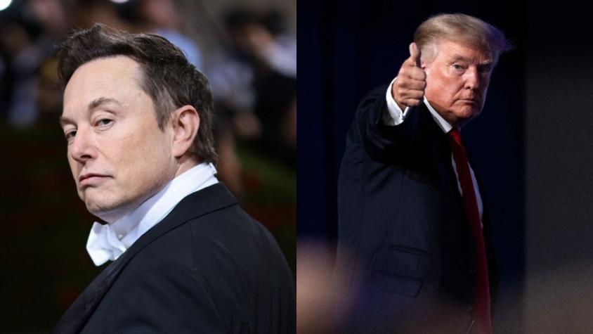 Elon Musk anuncia que retirará bloqueo a Donald Trump en Twitter
