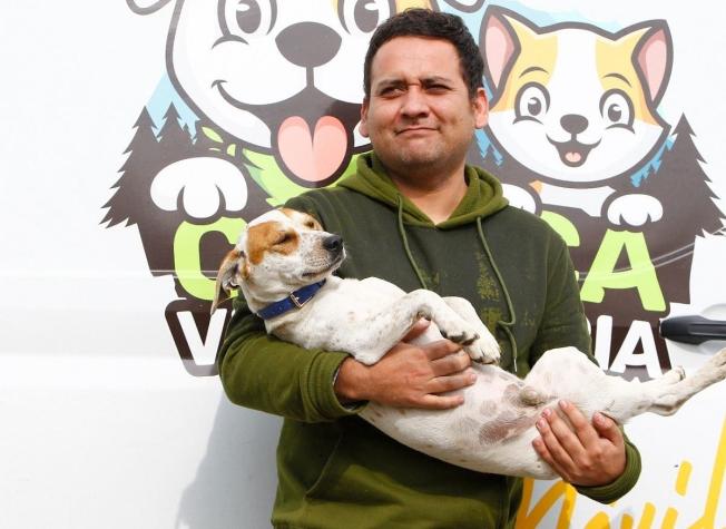 Perrito que se robó las miradas en el partido de Curicó y Colo-Colo busca dueño