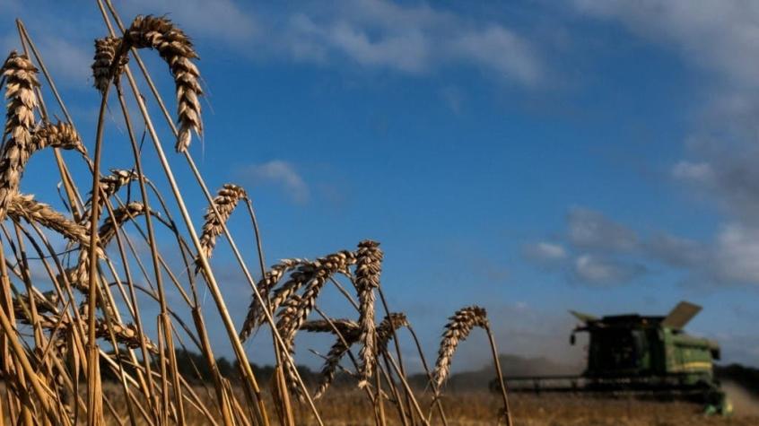 ONU advierte que crisis alimentaria por guerra en Ucrania "amenaza" América Latina