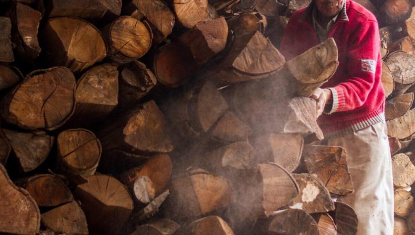 La Araucanía: Presidente de Corma cifra en US$70 millones las pérdidas por robo de madera