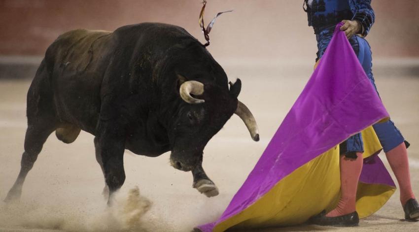 Juez suspende las corridas de toros en el recinto taurino más grande de Latinoamérica
