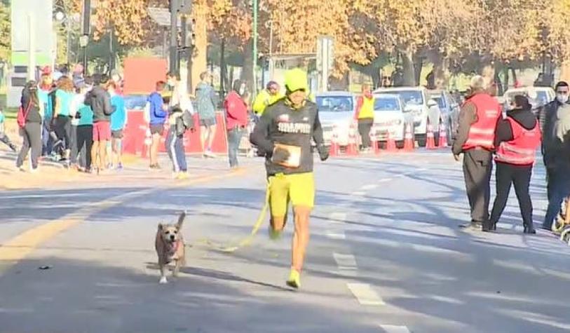 [VIDEO] Corrida con mascotas en Providencia: Perritos recorrieron 2,5 kilómetros con sus humanos