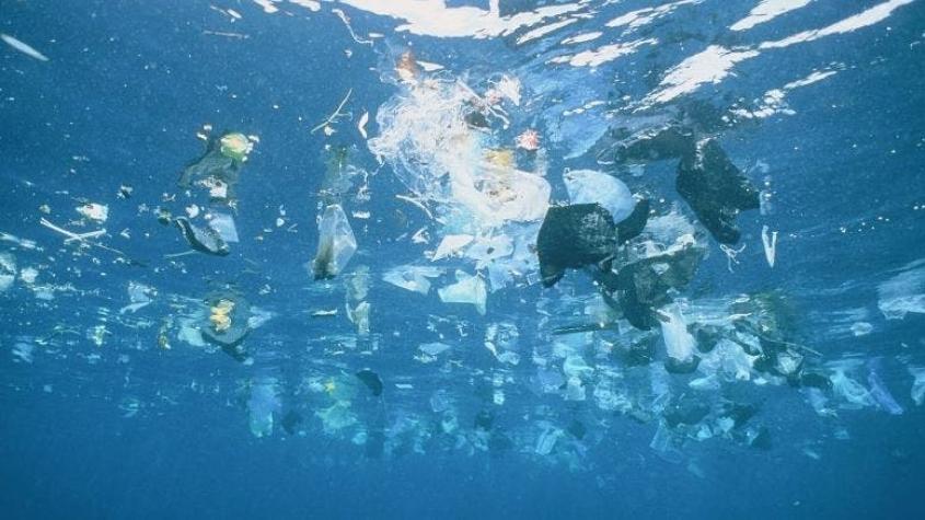 El plástico representa el 85% de los residuos que llegan a los océanos
